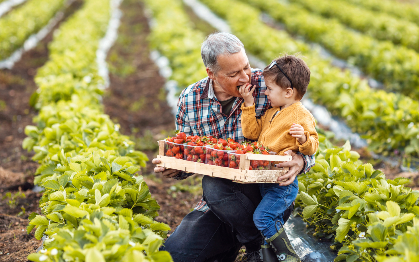 Trillium Mutual Insurance Company