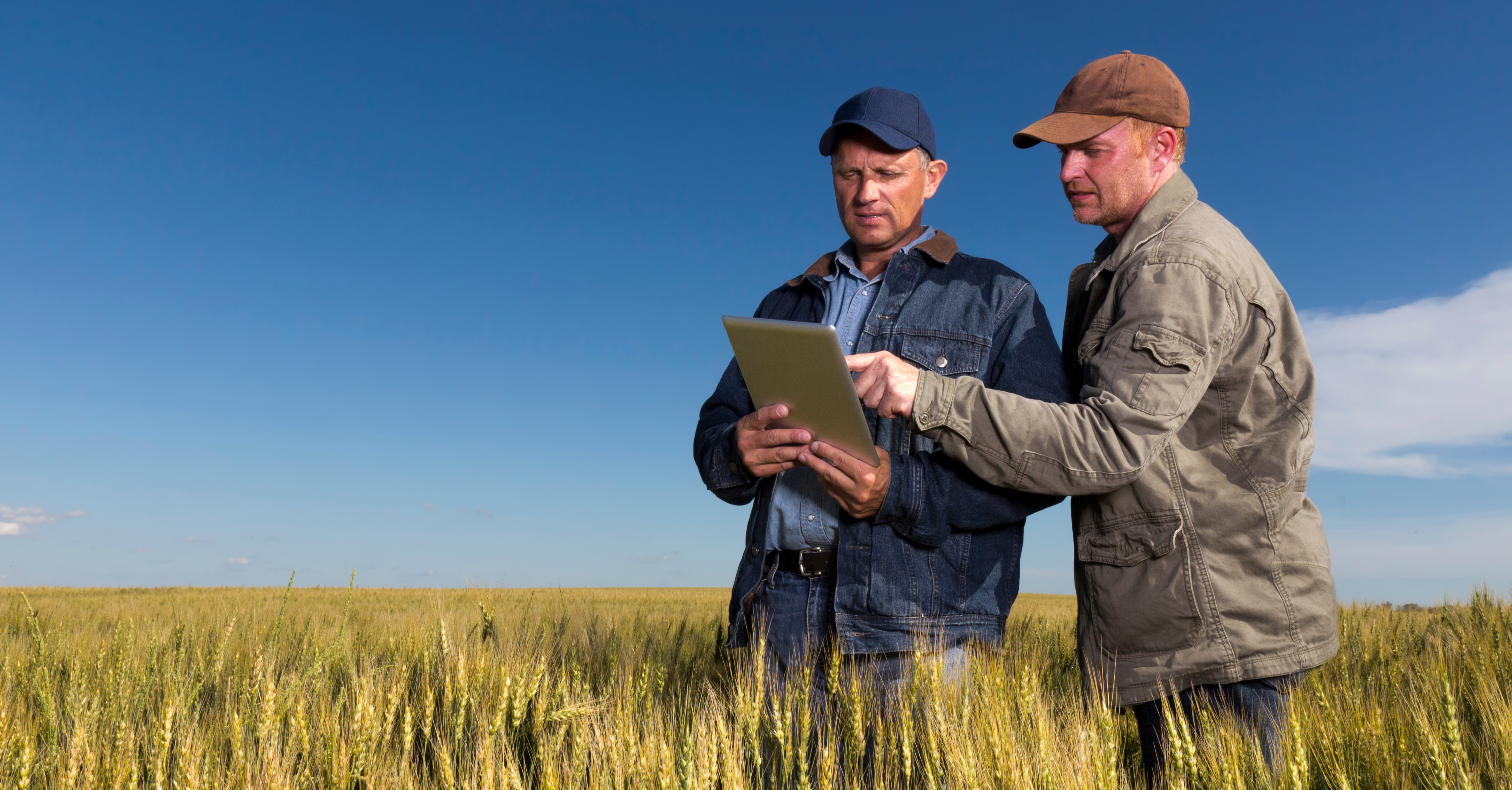 Farmers talking together in a field