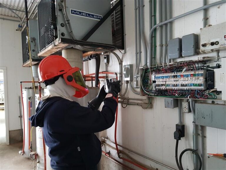 Risk Inspector doing a farm inspection