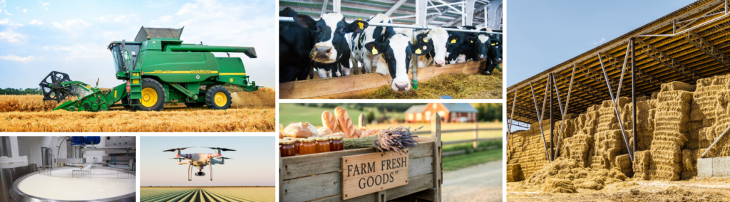 diversification on the farm